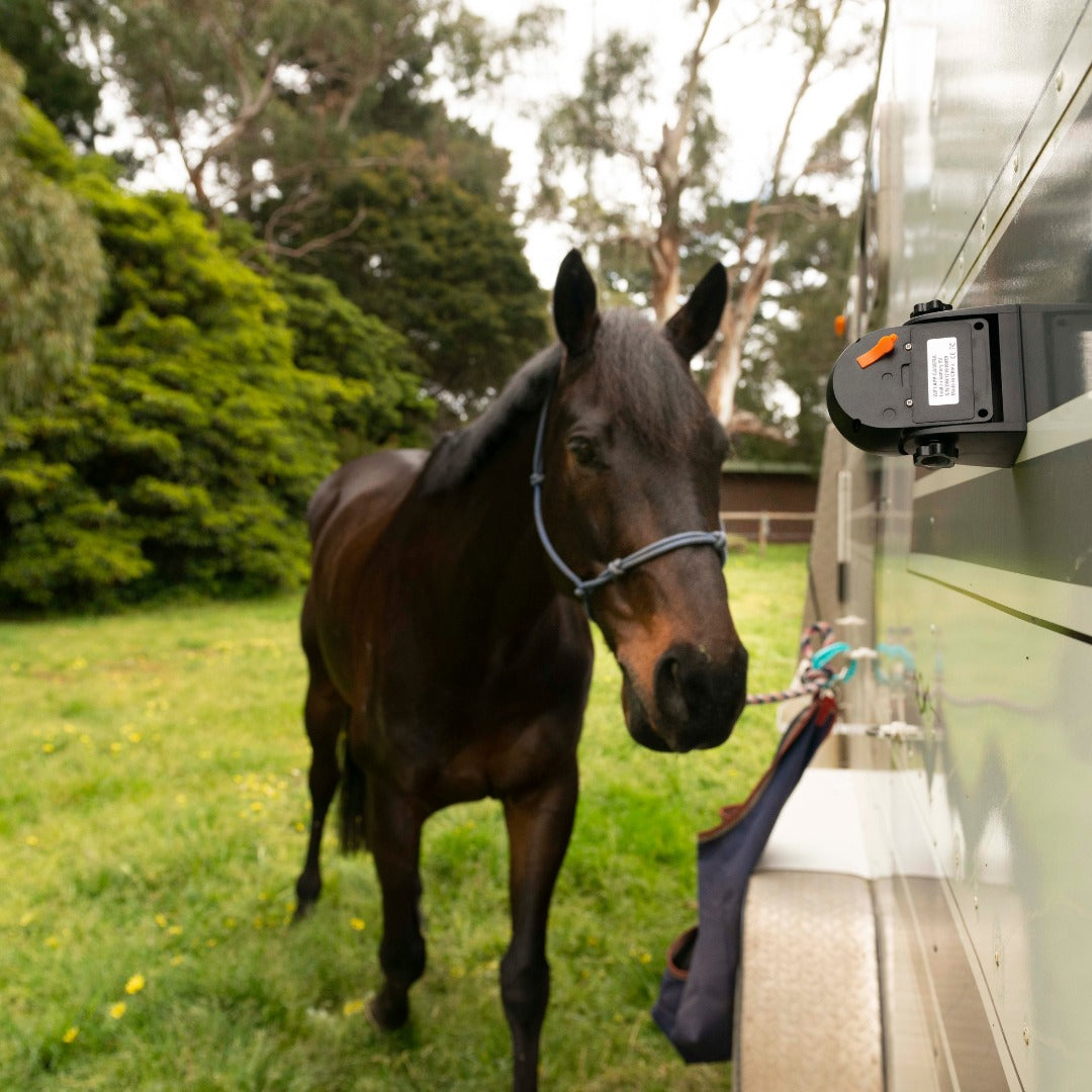 EquiCustos Horse Trailer Camera